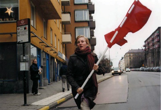 Felix Gmelin: Farbtest, Die Rote Fahne II, 2002 - Baby (Revolution) Comeback
